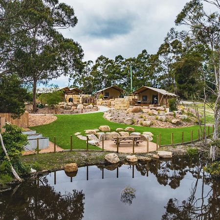 Hotel Glamping 148 Tasmania St Helens Exterior foto