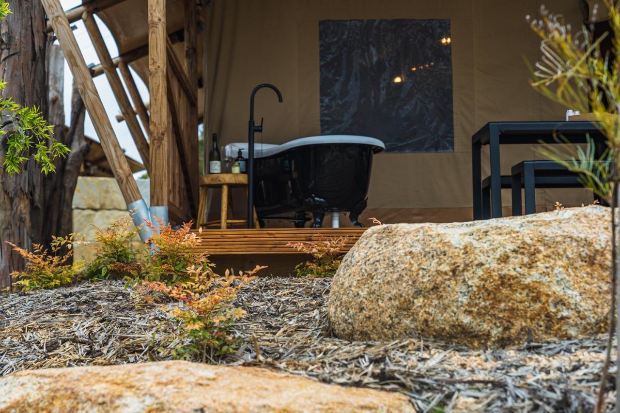 Hotel Glamping 148 Tasmania St Helens Exterior foto
